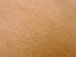 Texture de la peau en gros plan