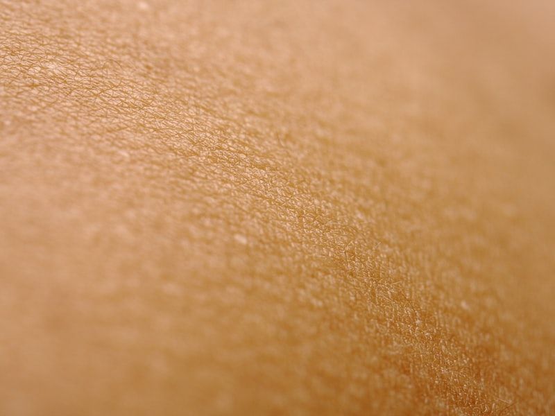 Close-up of the texture of the skin